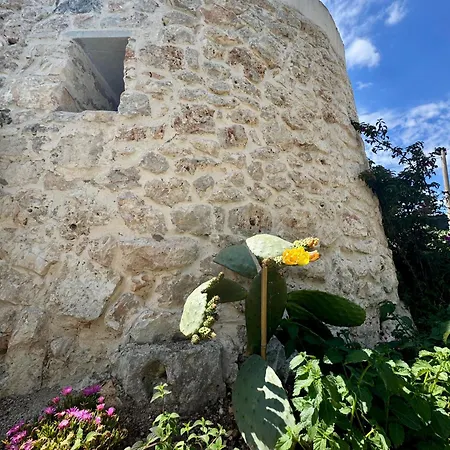 Trullo Simona - Luxury Relax House 别墅 奥斯图尼
